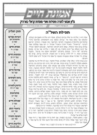 תמונה ממוזערת של אמונת חיים